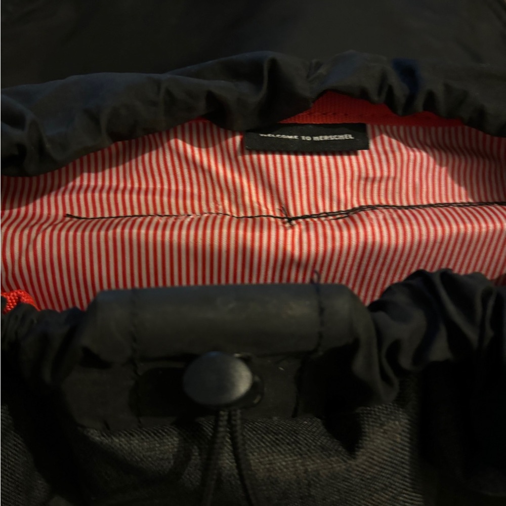 backpack from Herschel